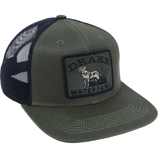 Dog Patch Mesh Back Cap, a high-profile, six-panel baseball cap with a flat visor, featuring embroidered front patch and breathable mesh back for adjustable fit.